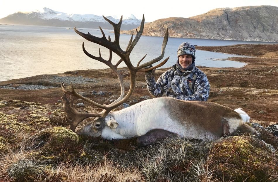 Bow hunting caribou in Greenland